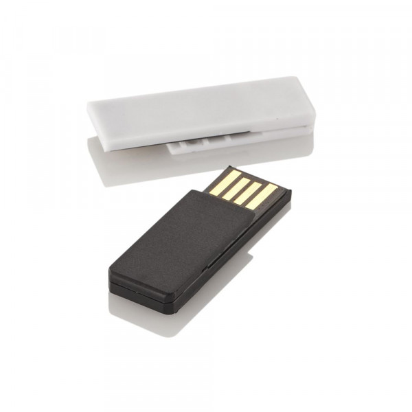 USB-Stick RS801